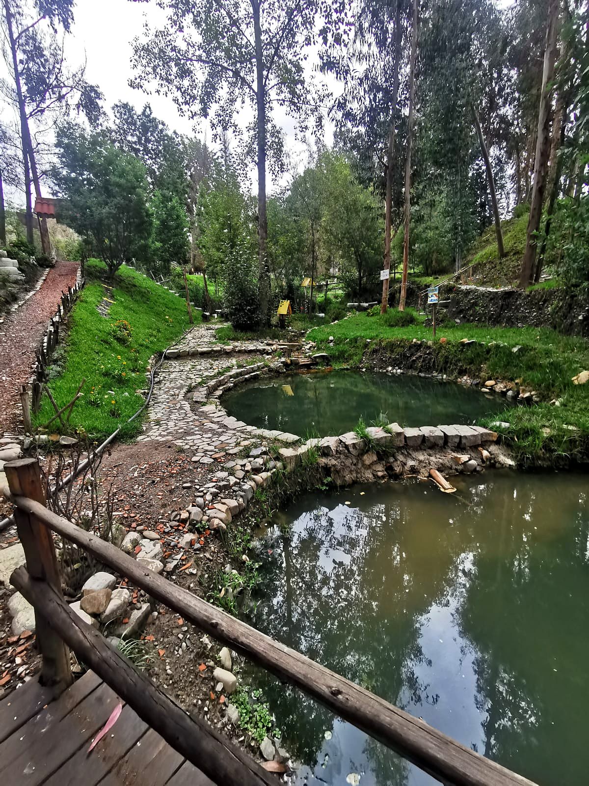 Criadero de libélulas