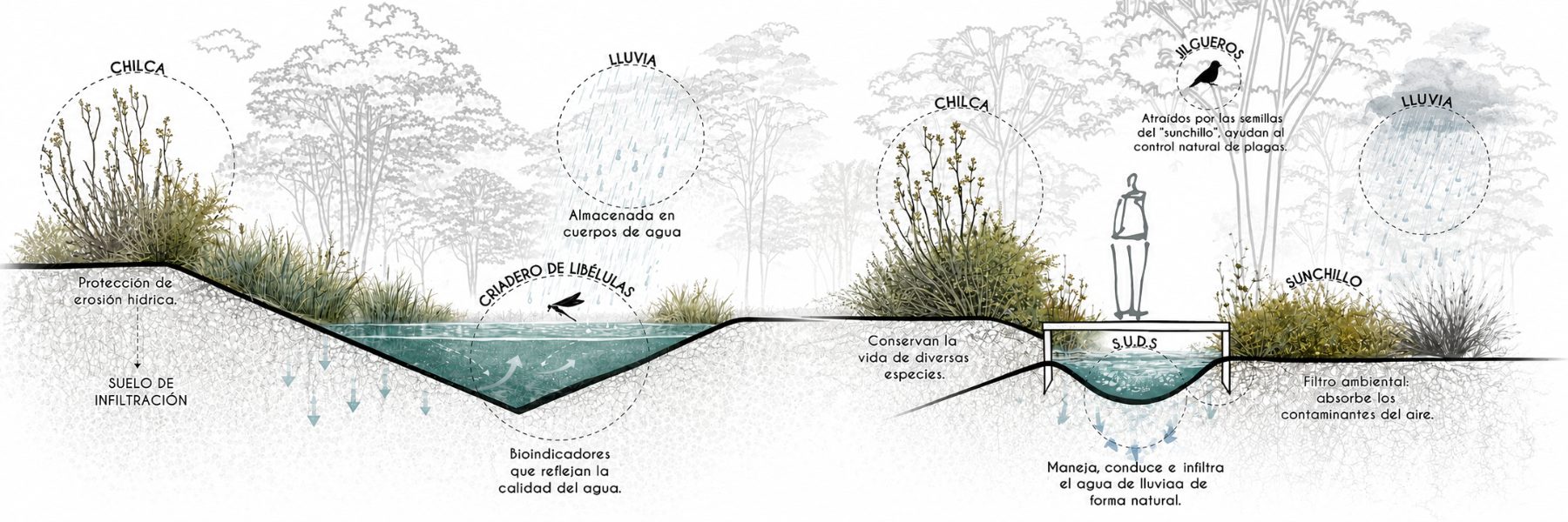 Sistema de drenaje Urbano Natural 