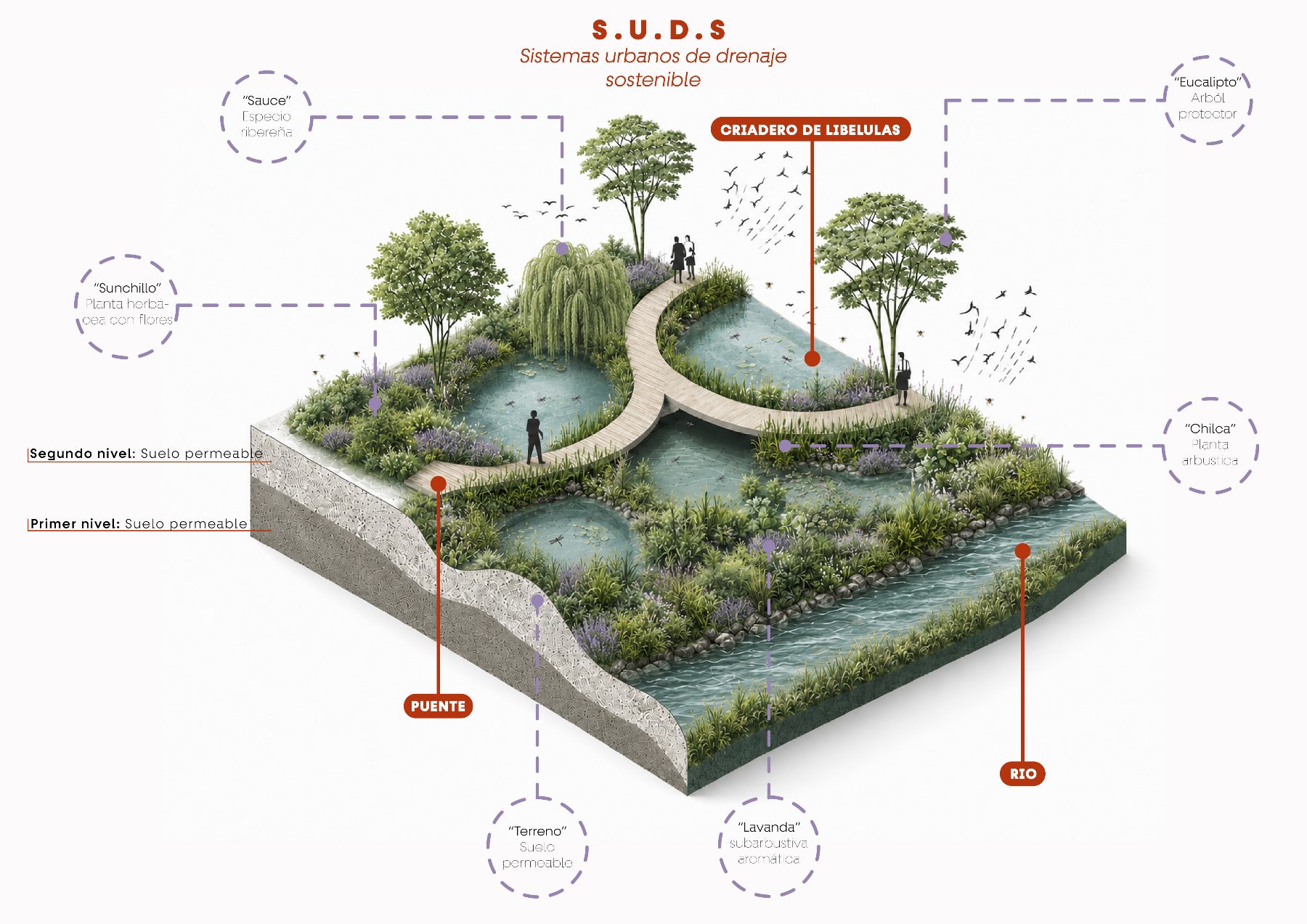 Isometric View | S.U.D.S